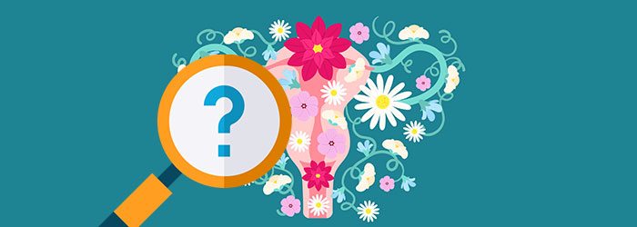 cbd efficace contre l endometriose